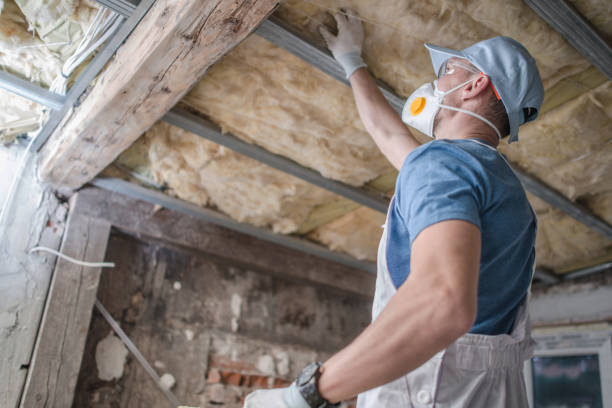 Best Attic Insulation Installation  in Cocoa Beach, FL