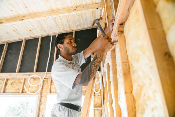 Best Insulation Removal  in Cocoa Beach, FL