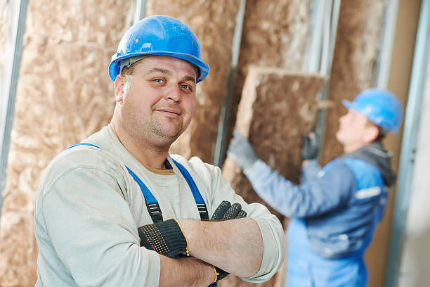 Best Energy-efficient Insulation  in Cocoa Beach, FL